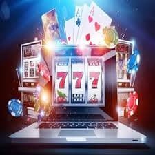 vl555 Sportsbook